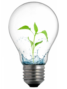normal-light-bulb-with-plant4