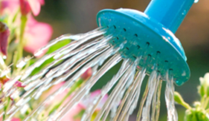 Wòrkshòp Rikesa Mental